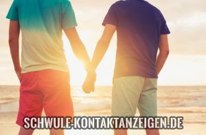 Schwule Partnersuche